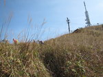 前望見飛鵝山的發射塔
IMG_5202