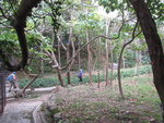 到石級前轉右, 若左上石級相信可往大坑道
IMG_5719