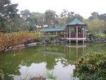 粉嶺康樂公園內魚池
IMG_6621
