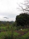 木棉頭村口遙見一被雲遮掩的山相信是在大陸境內
IMG_7723b
