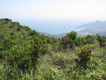 山下的西沖
IMG_0207