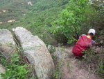象山西菱脊路落山
IMG_1897