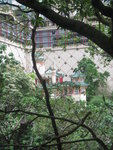 右望見虎豹別墅
IMG_2660
