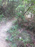 坑右有山路, 緊係走山路啦
IMG_3777