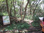 中途左邊見有布條路標, 應該有路可穿林上柏架山頂
IMG_4065