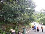 中途見左邊有支路(相左), 路口有棵林柿樹
DSCN0108