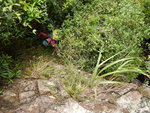 壁左山路
DSCN0278