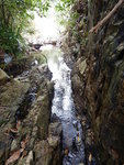下降田鹿坑, 過一峽廊
DSCN0286