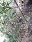 DSCN0402