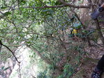DSCN0404