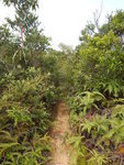 過露營地方再接山路
DSCN0412