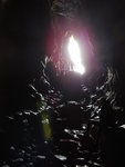 DSCN1102