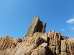 小龍頸根
DSCN1181