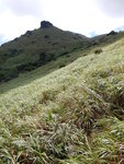 DSCN1879b