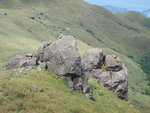 DSCN1921