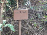 左邊有一支澗口有牌標示 "PFL4(1)"
DSCN4931