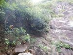 瀑左有山路上瀑頂
DSCN5733