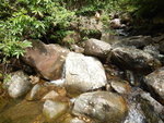 DSCN6010