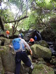 續上溯大圓石澗右源 DSCN6214