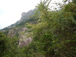 山路中左望獅子山
DSCN7333