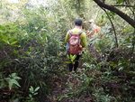 轉入10號座標石後面小路
DSCN7434