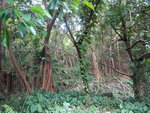 DSCN7539