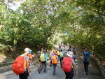 轉右沿馬路前行
DSCN7887