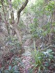接山路
DSCN8027