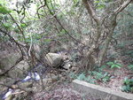 山路接入澗
DSCN8028