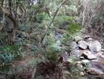 上溯蝦公坑, 坑邊不時有山路
DSCN8034