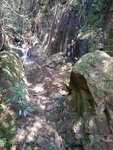 DSCN8037