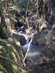 DSCN8038