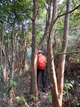 山路穿林
DSCN8049