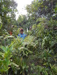 有路跡不過兩旁植物高過人
DSCN8060