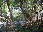 DSCN8315