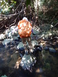DSCN8320