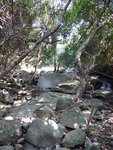 DSCN8337