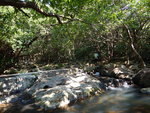 DSCN8345a