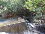 DSCN8347