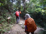 到石級頂, 離大路直入林
DSCN8503