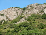 DSCN9052