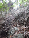 到底回望, 其實好多樹根樹藤可扶, 只怕有碎石
DSCN9659