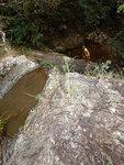 瀑頂下望, 原來是之前蘇哥搵路後話回頭走個瀑位
DSCN0145