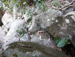 石面有轉彎箭咀, 原來接回之前上溯的主澗段
DSCN0776