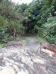 中途見左邊有石屎路, 原來林內有間村屋
DSCN1059