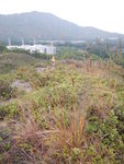 落山途中前望見竹篙灣發電廠, 背後是大山
DSCN1377