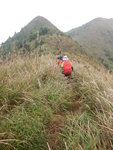 前見一山頭, 要上頂嗎?
DSCN1828