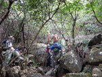 DSCN3095