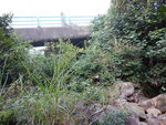 前見一橋&#22083;, 橋面是來往愉景灣的馬路, 前面石面有箭咀指示往右去
DSCN3205