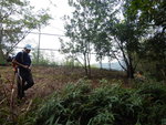 沿鐵絲網邊開林走一段後往左穿林落山
DSCN3226